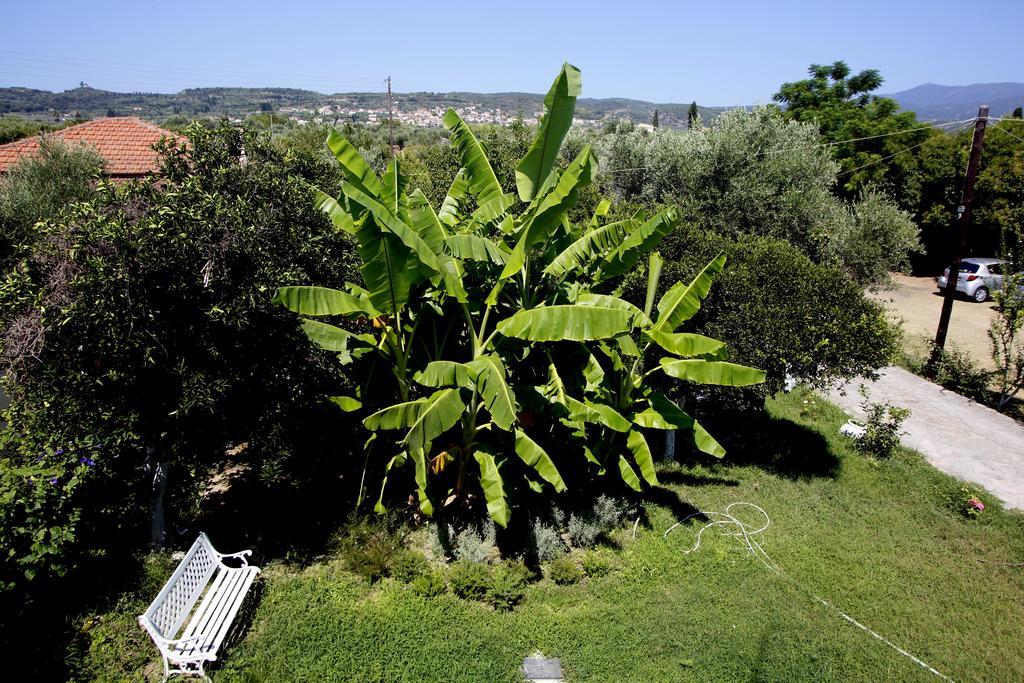 Aggelos Hotel Agios Andreas  외부 사진